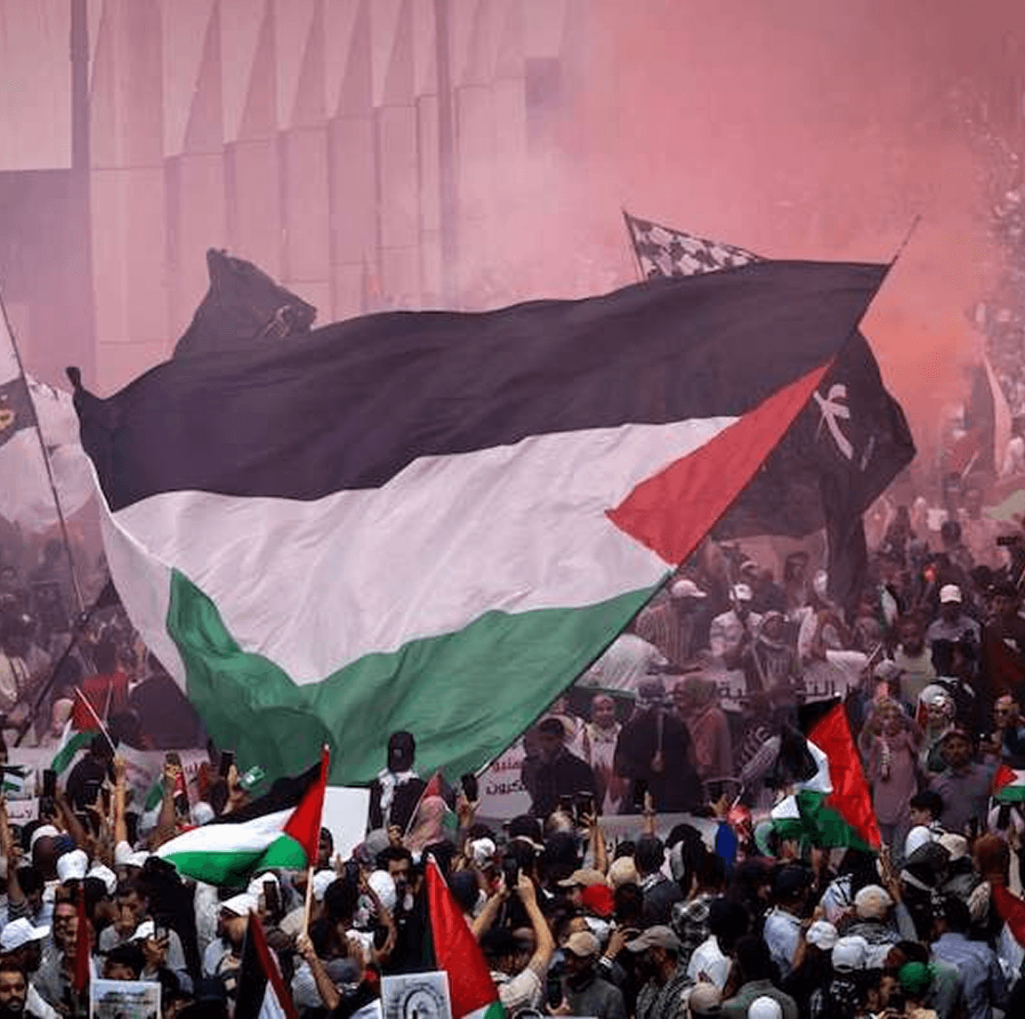 أزمة التمويل ومخاطر الاستدامة - Image 1